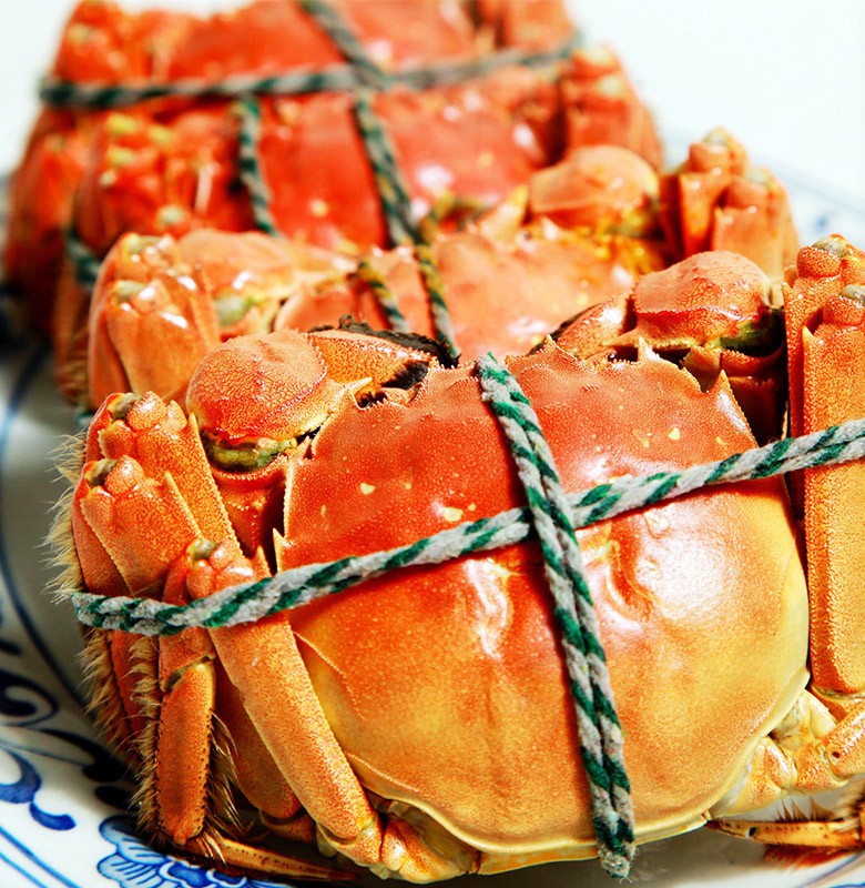 crab_p_1