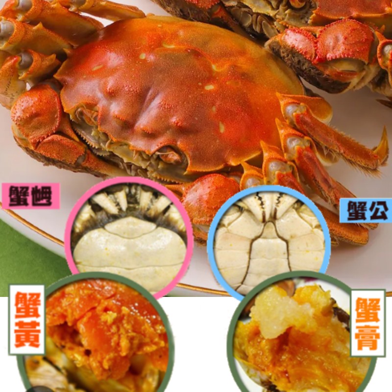 公蟹及乸蟹 (共6隻)
