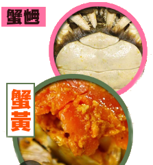 公蟹及乸蟹 (共6隻) - Image 3