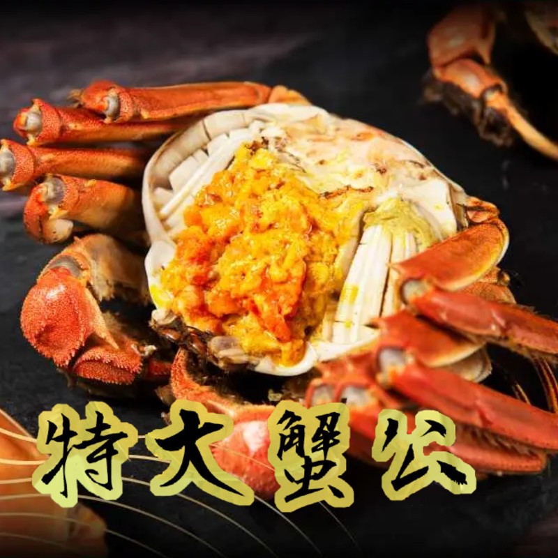 㥛品特大公蟹-江蘇大閘蟹 (7兩-8.9兩)